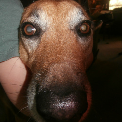 Found 2026-04-13-mom